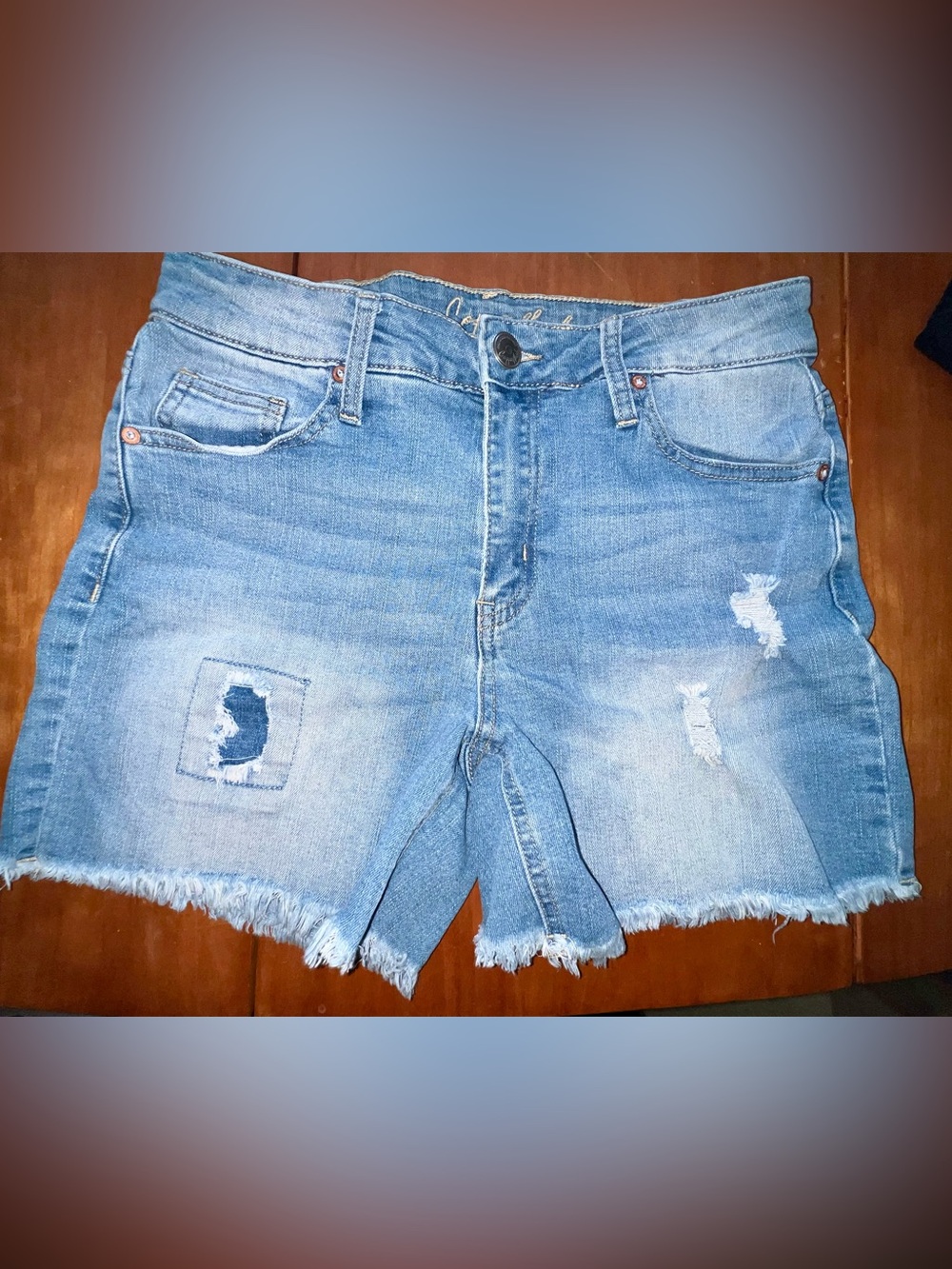 Copperflash Mid-Rise Distressed Jean Shorts
